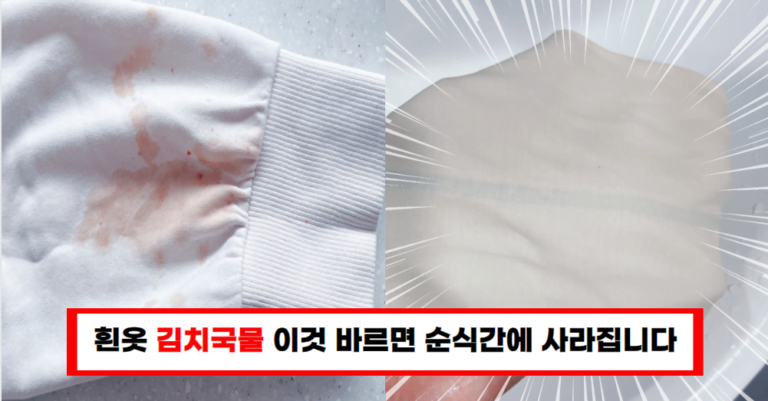 놀랍게도! 이 방법 하나로 김치국물 얼룩 사라지게 하는법