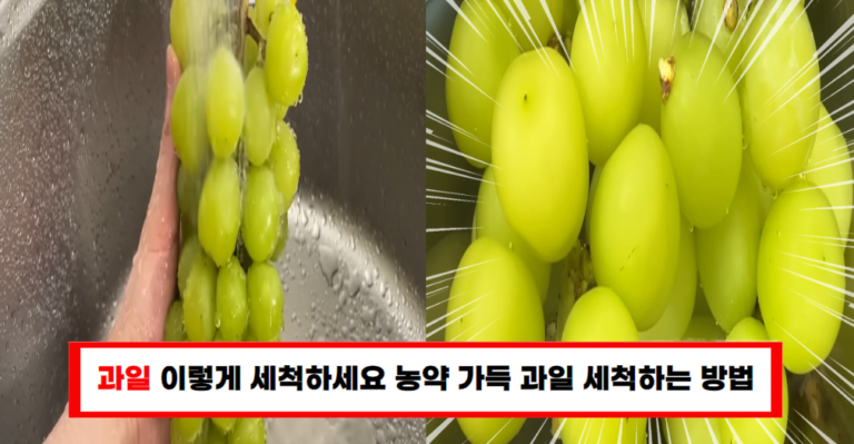 “사장님이 전수하는 과일 세척법! 농약을 피하고 싱싱함을 오래 유지하는 방법”