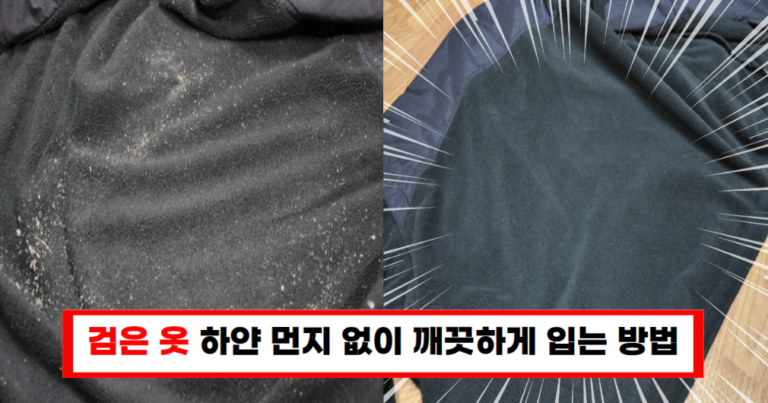 “검은 옷에 묻은 먼지, 이제 쉽게 해결! 정전기 방지와 먼지 제거 꿀팁 대공개”