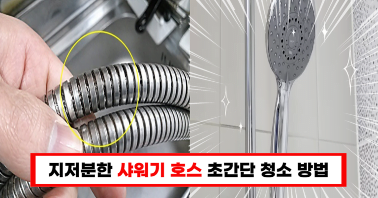 “샤워기 호스 헤드, 이렇게만 하면 번쩍번쩍! 가장 쉬운 청소 비법!”
