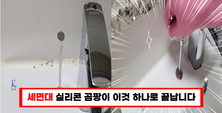 욕실 실리콘 곰팡이 이것 하나면 완벽히 제거할 수 있어요!