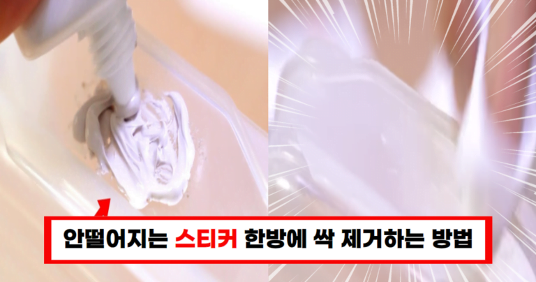 착 달라붙은 스티커 이것 하나면 충분합니다