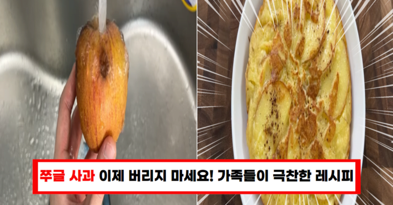 “사과 한 개로 만든 이것, 가족들이 모두 반했습니다!”