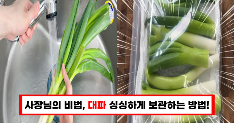 옆집 살던 채소가게 사장님이 알려주신 대파 보관법 이렇게 하세요!