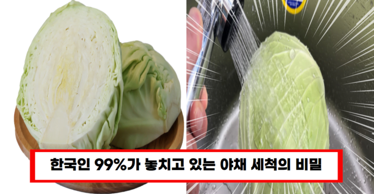 야채 세척, 이렇게 하면 달라집니다 한국인 99%가 몰랐던 방법”