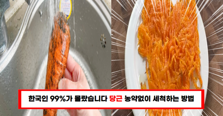 “당근 섭취 시 농약 걱정 끝! 야채 가게 사장님이 알려준 깨끗한 먹는 법”