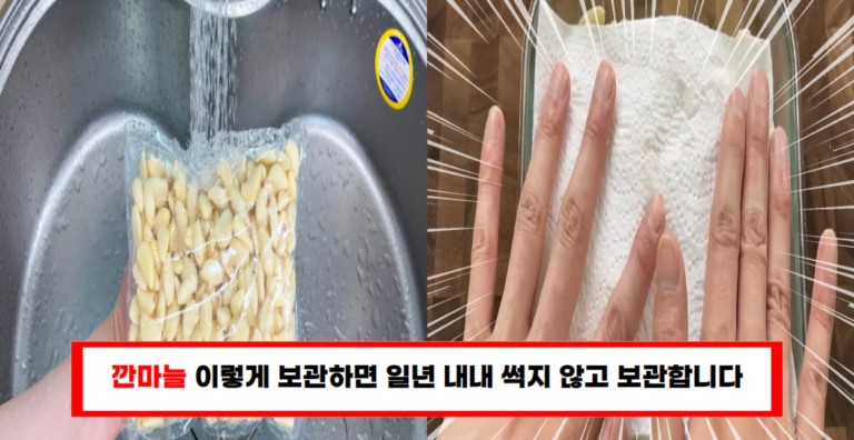 “깐마늘 곰팡이 방지 비법! 마트 사장님이 알려준 효과적인 보관법”