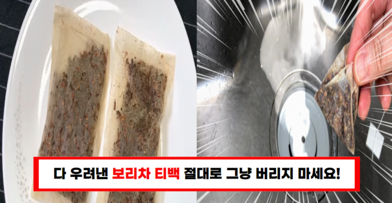 이제 보리차 마시고 남은 티백 그냥 버리지마세요! 보리차 티백으로 활용할 수 있는 꿀팁