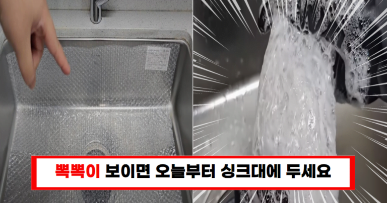 왜 이제야 알았을까? 싱크대에 뽁뽁이 두면 모두가 놀랍니다