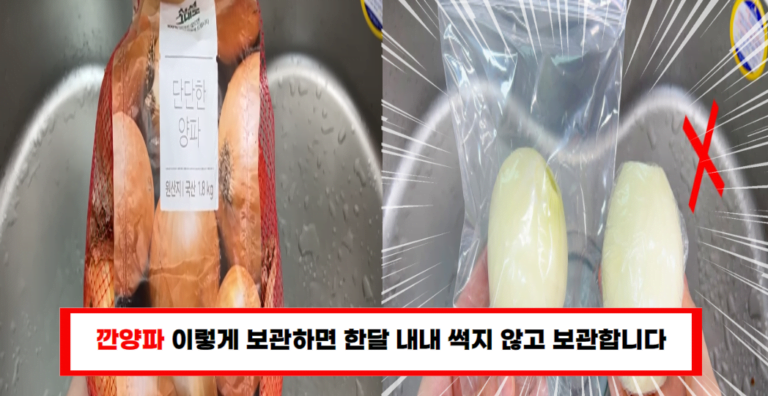 “마트 사장님이 알려준 깐양파 보관법, 이걸 알았다면…”