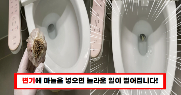 “하루 밤에 변기를 새것처럼? 마늘 하나로 가능한 일”