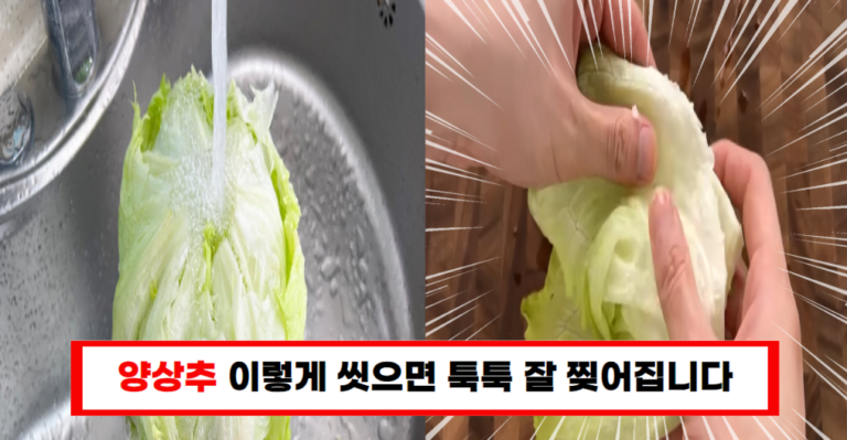 “양상추 갈변 방지의 비밀! 마트 사장님이 알려준 놀라운 방법”