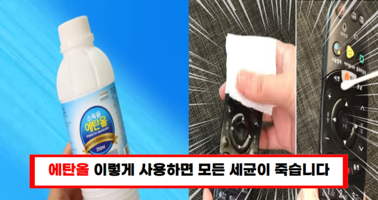 소독용 에탄올만 있으면 OK! 생활 속에서의 창의적 활용 팁