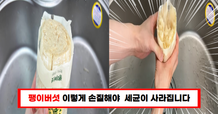 “팽이버섯 잘못 다뤘다간 큰일! 사장님이 알려준 올바른 손질과 요리법”