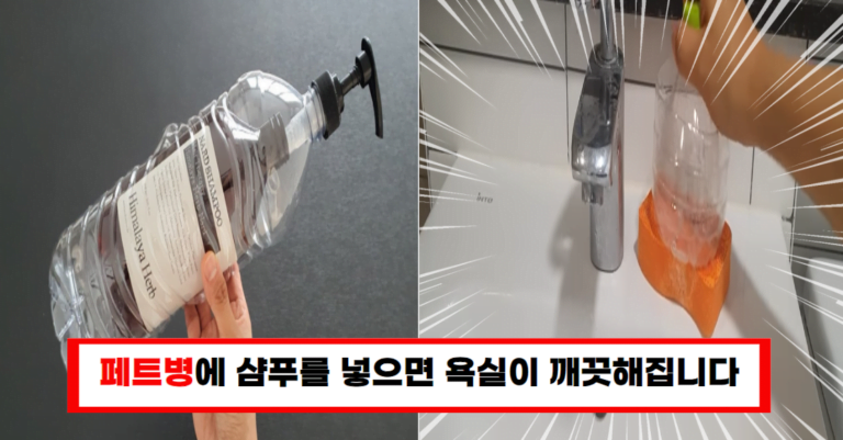 “페트병과 샴푸로 욕실 청소가 놀랍도록 간편해져요 청소 비법 공개”