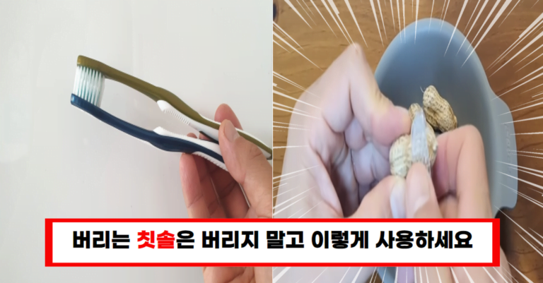 오래된 칫솔 2개만 있으면 욕실이 환하게 깨끗해지는 방법을 알아냈습니다!