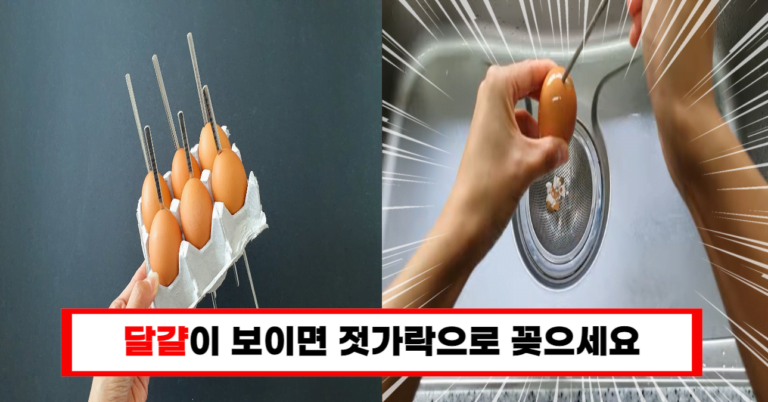 “믿기 힘든 발견! 달걀에 젓가락을 꽂으면 나타나는 놀라운 결과와 다른 계란 활용법 5가지!”