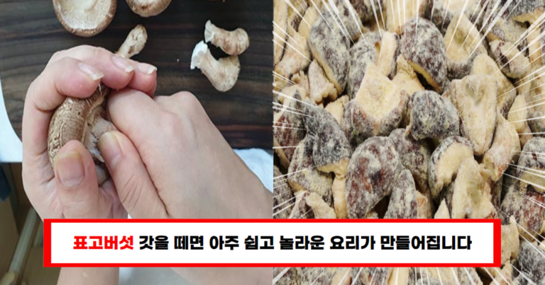 표고버섯 사 왔다면 꼭 해봐야 할 요리! 콩가루표고버섯찜으로 모두를 놀라게 하세요!