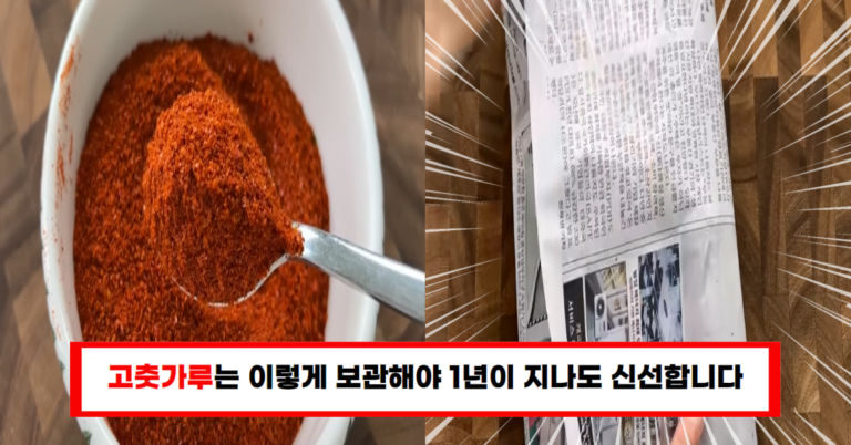 “사장님 비법 공개! 고춧가루 곰팡이 방지하고 신선도 유지하는 꿀팁”