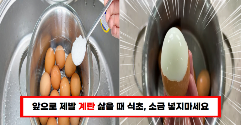 “계란 이렇게 삶으면 아주 매끈하게 껍질이 벗겨집니다”
