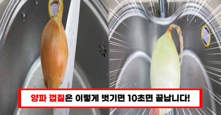 양파 낭비 끝! 사장님이 알려주신 비법과 보관법으로 양파 100% 활용하기