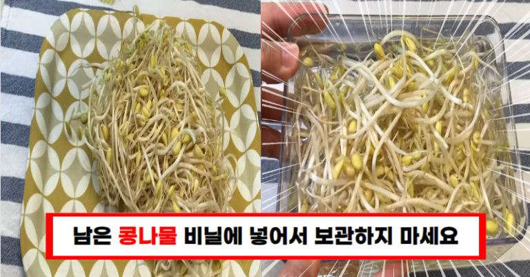 남은 콩나물 비닐에 보관해선 안 됩니다! 더 나은 방법이 여기 있습니다!