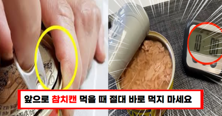 참치캔 먹을 때 저지르기 쉬운 치명적 실수! 이것만은 피하세요!