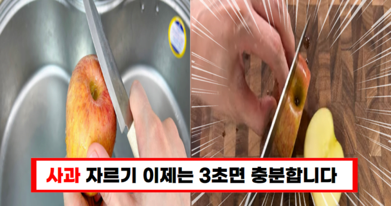 3초만에 사과를 완벽하게 자르는 방법 과일가게 사장님의 비법이 여기 있습니다!