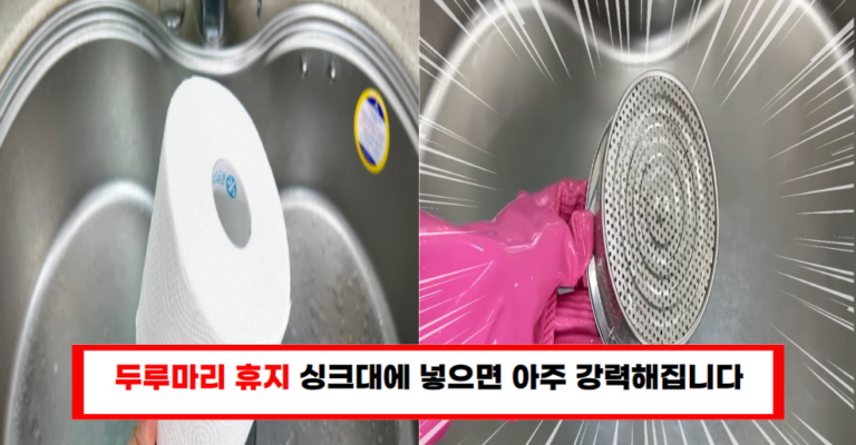 휴지를 싱크대와 냉장고에 보관하세요, 사장님의 절약 비법 공개