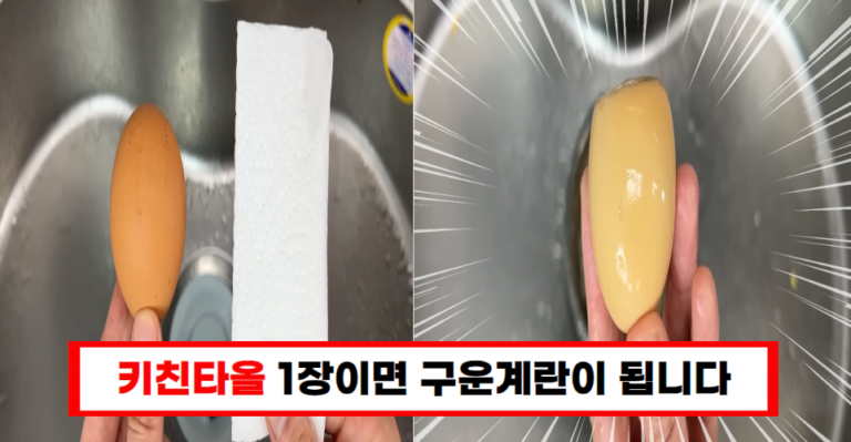 계란 삶을 때 휴지 2장만 있으면 충분? 사장님이 전수한 경제적인 삶기
