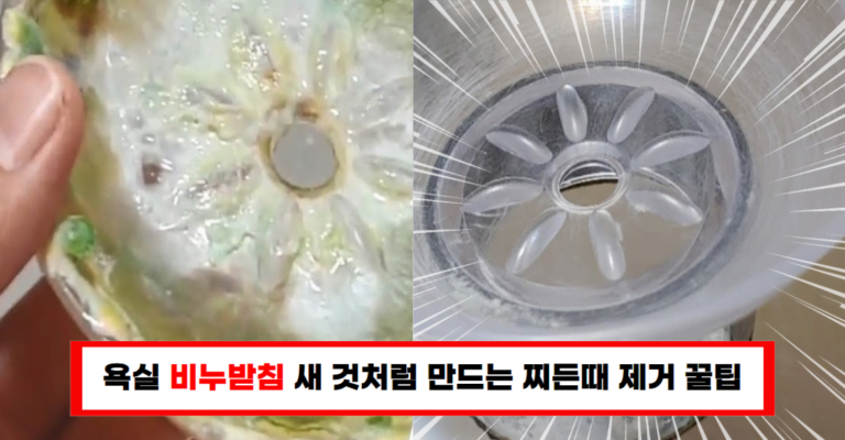 더 이상 골치 아픈 비누때와 작별 쉽고 빠른 제거 방법