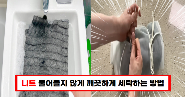 니트 세탁 시 줄어들기 NO! 전문가의 노하우로 완벽하게 관리하기!