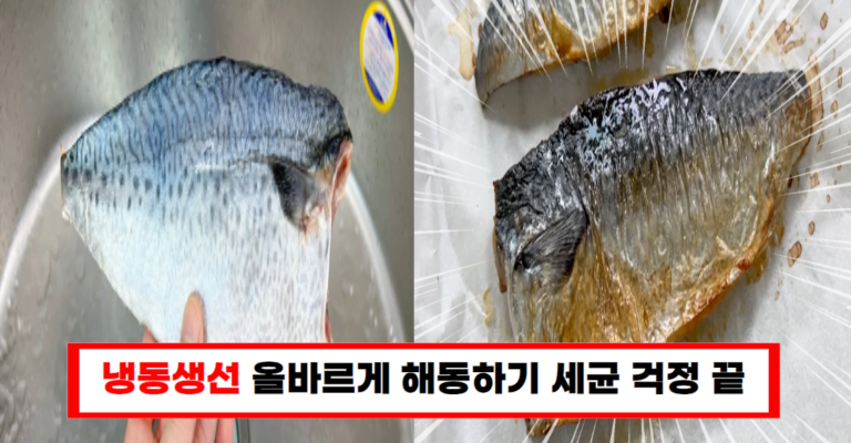 수산물 전문가가 알려주는 냉동생선 세균 없는 해동법!