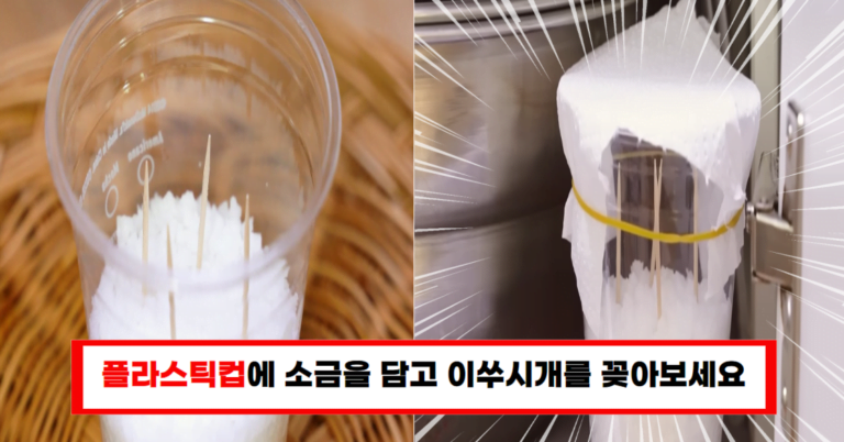 플라스틱컵에 소금을 넣고 이쑤시개를 꽂으면 천연 제습제가 됩니다!