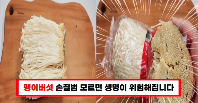 팽이버섯 오해와 진실 잘못된 섭취가 사망까지 이르게 할 수 있습니다!