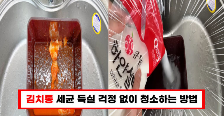 김치통 청소, 이렇게 하세요! 사장님의 꿀팁으로 세균 없는 김치통 관리!