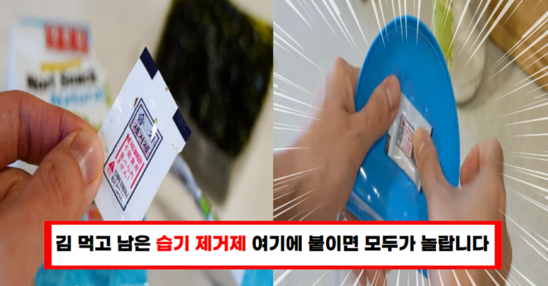 ‘습기 제거제’ 버리기 전에 보세요! 김 포장지 활용법에 모두가 놀랍니다!