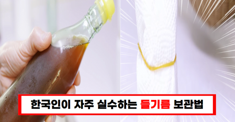 들기름 보관법, 의외의 실수와 올바른 방법을 알려드립니다!