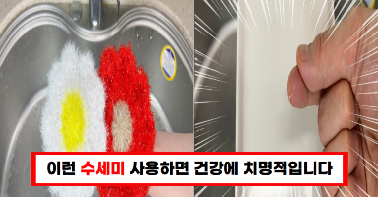 수세미, 이렇게만 사용하세요! 사장님의 건강 지키는 청소 팁!