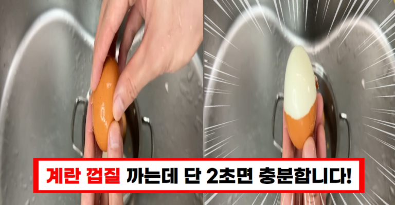 계란 껍질 쉽게 까는 방법 2초만 투자하세요!