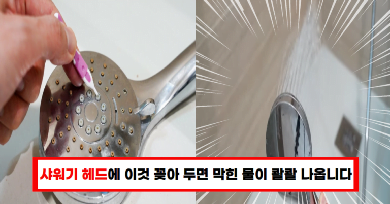 이것 꽂으면 물이 콸콸콸, 샤워가 더 즐거워집니다!