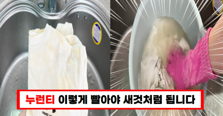 흰 티셔츠 누렇게 변하는 문제, 해결했습니다! 사장님이 알려준 깨끗한 보관법!