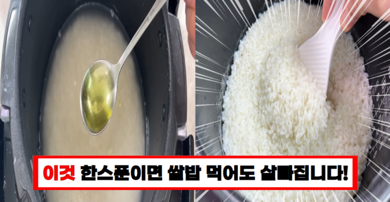 밥 짓기의 비밀 한 스푼! 이것만 추가하면 살이 빠지고 윤기가 납니다!