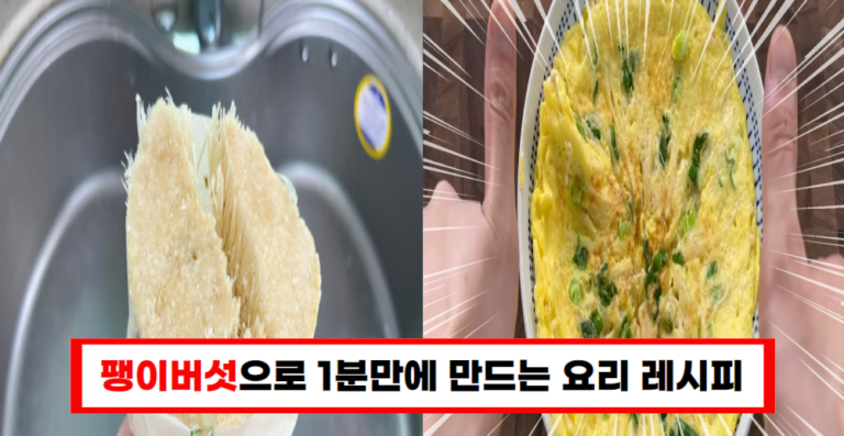 놀라운 팽이버섯 재배법! 농부들의 숨겨진 방법이 공개되었습니다!