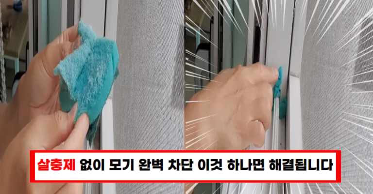 살충제 없이 모기 퇴치하는 확실한 방법!