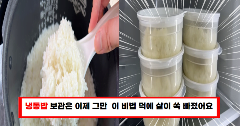 사장님이 알려준 다이어트 비법으로 냉동밥 없이 살이 빠졌어요!