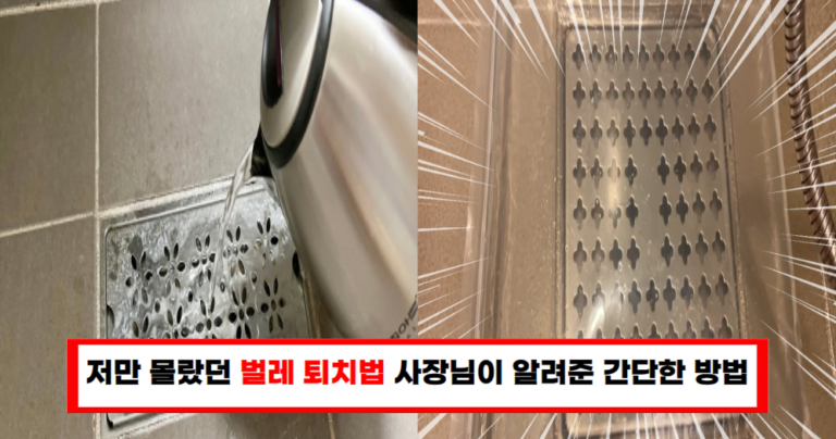 배수구 날벌레 제거 꿀팁 3가지