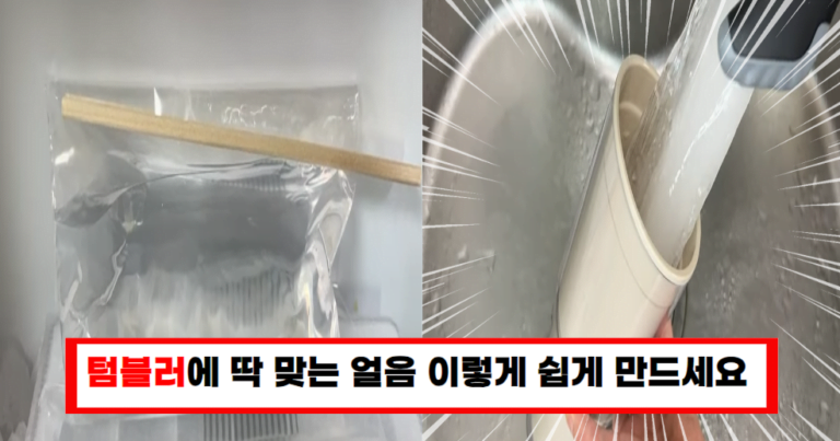 여름철 필수! 텀블러에 딱 맞는 얼음 만드는 간단한 방법