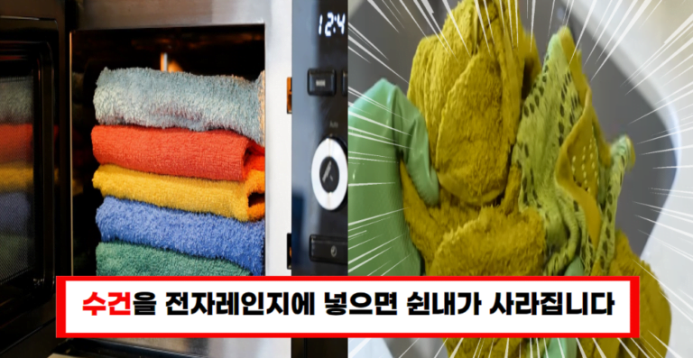수건을 전자레인지에 넣었더니? 놀라운 결과가 바로 나타났습니다!