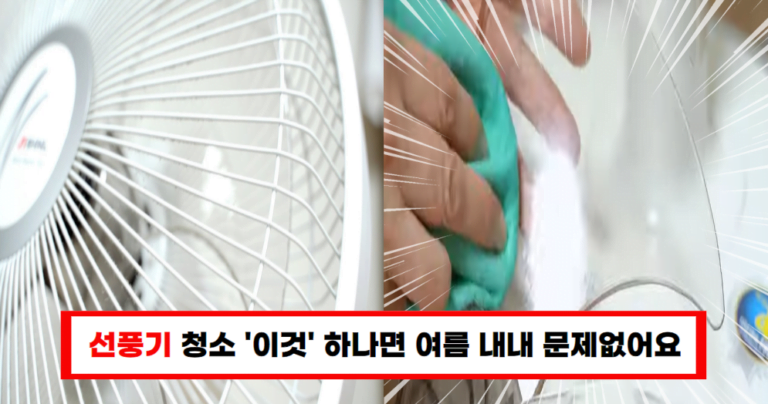 여름 내내 선풍기 청소 걱정 끝! ‘이것’만 알면 됩니다!